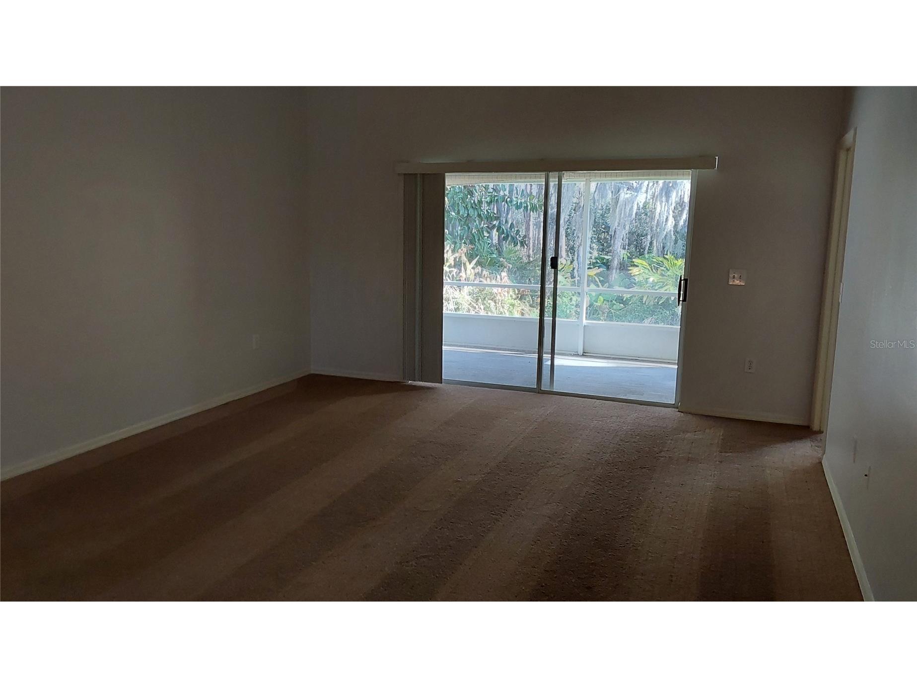 30904 Burleigh Drive Wesley Chapel FL 33543 TB8468156 image7