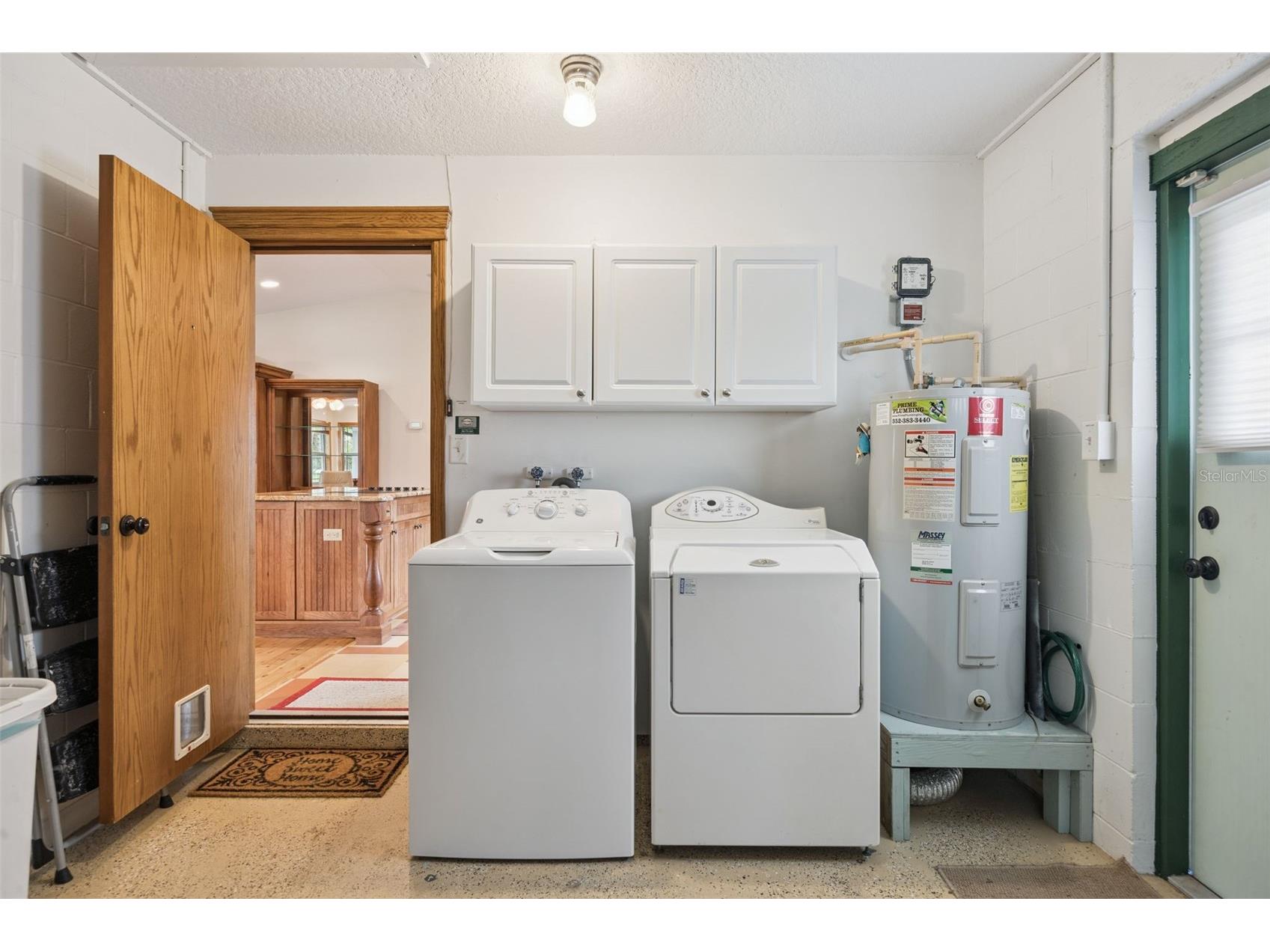 30904 Deal Drive Sorrento FL 32776 O6375746 image21