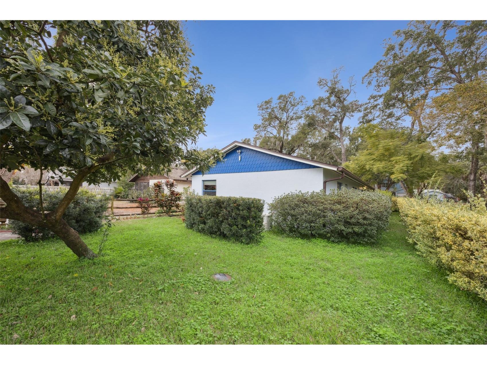 30904 Deal Drive Sorrento FL 32776 O6375746 image24