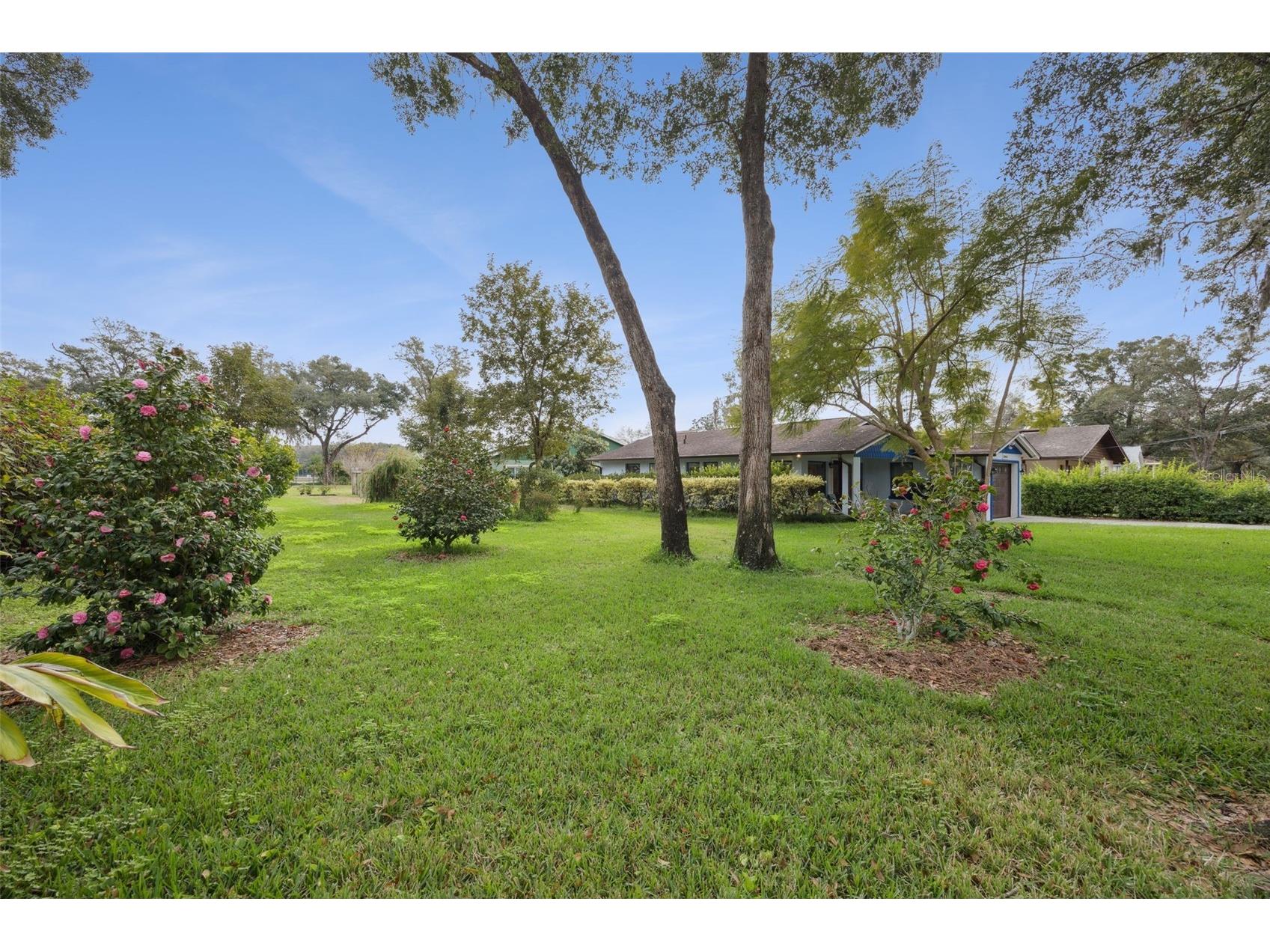 30904 Deal Drive Sorrento FL 32776 O6375746 image4