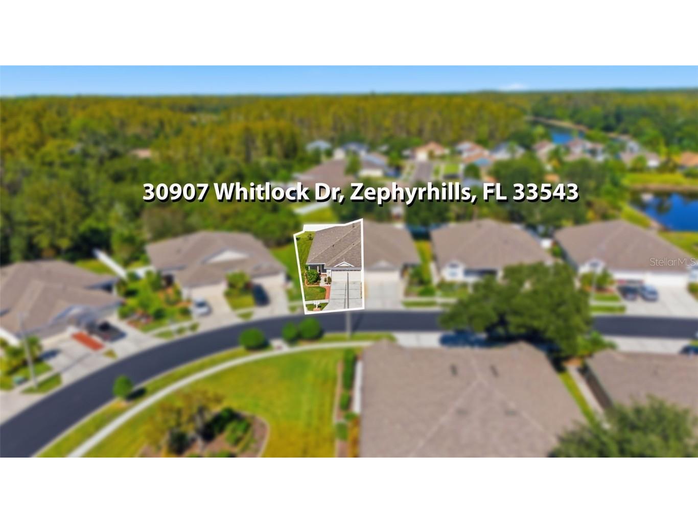 30907 Whitlock Drive Wesley Chapel FL 33543 A4672662 image20