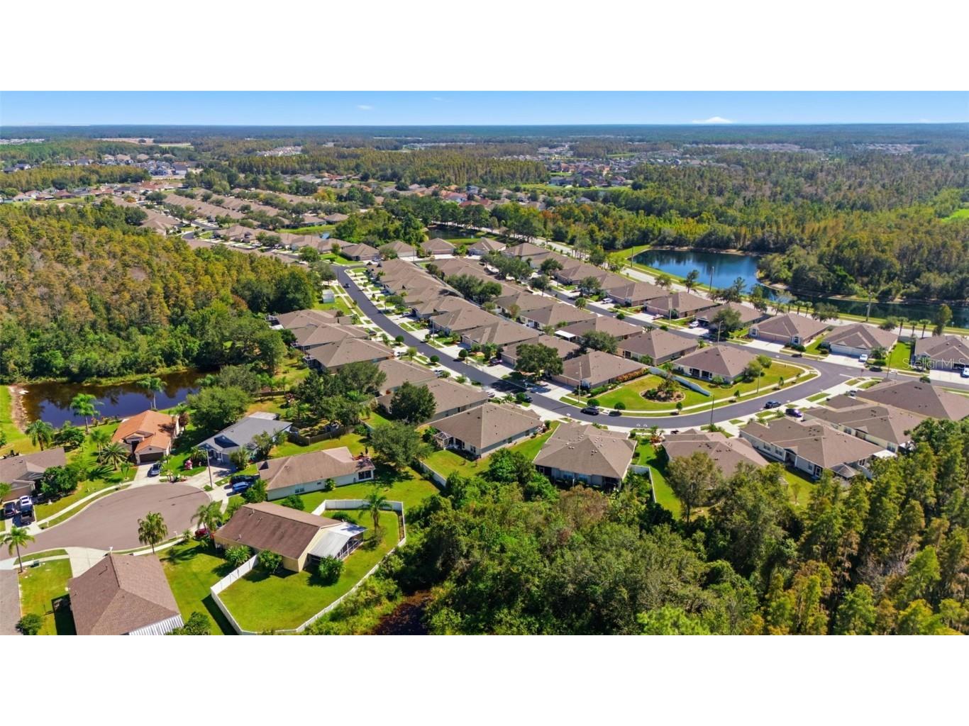 30907 Whitlock Drive Wesley Chapel FL 33543 A4672662 image21