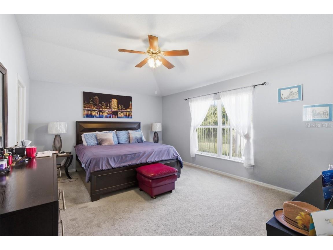 30907 Whitlock Drive Wesley Chapel FL 33543 A4672662 image9