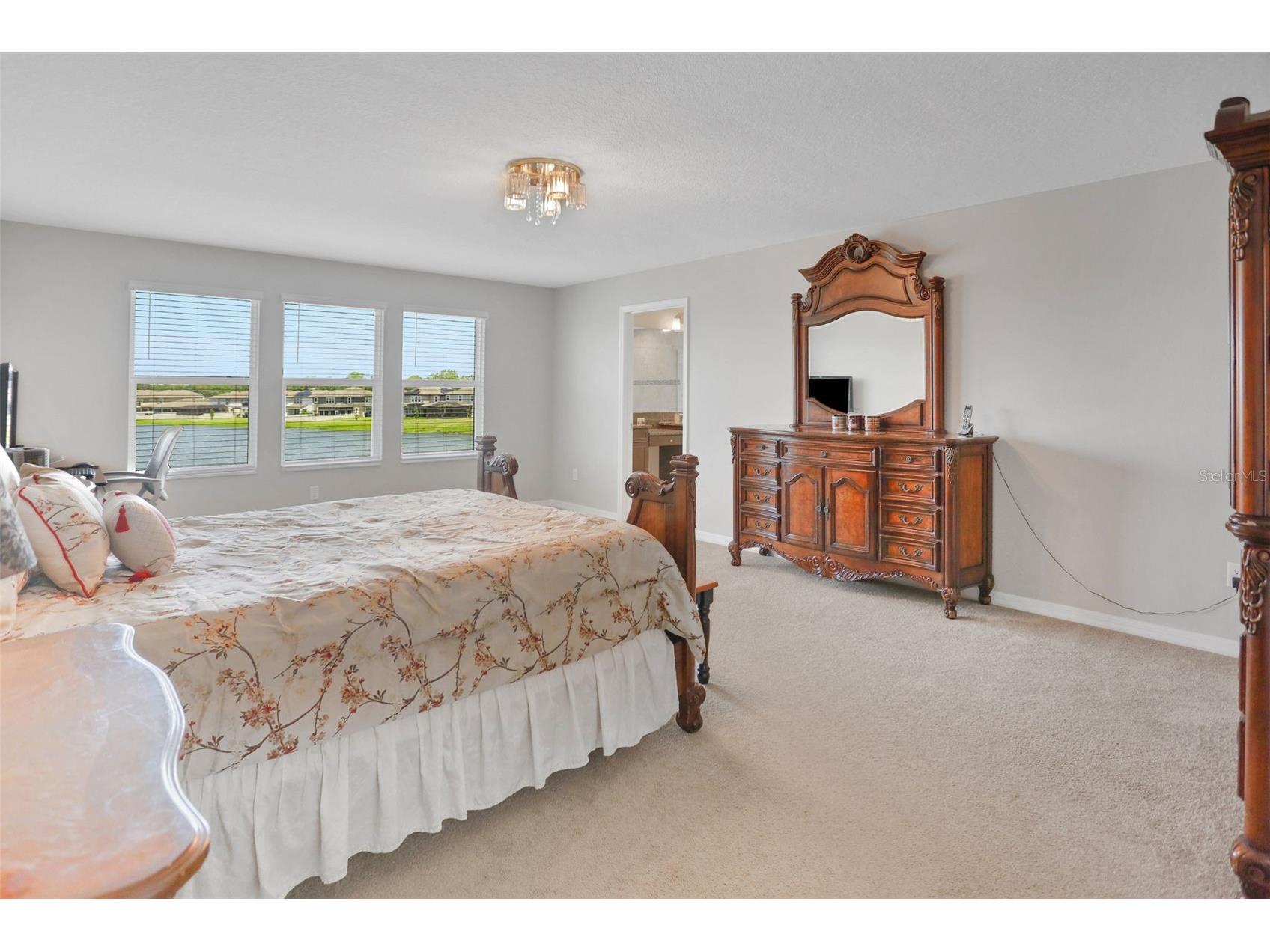 3091 Marine Grass Drive Wimauma FL 33598 TB8504306 image28