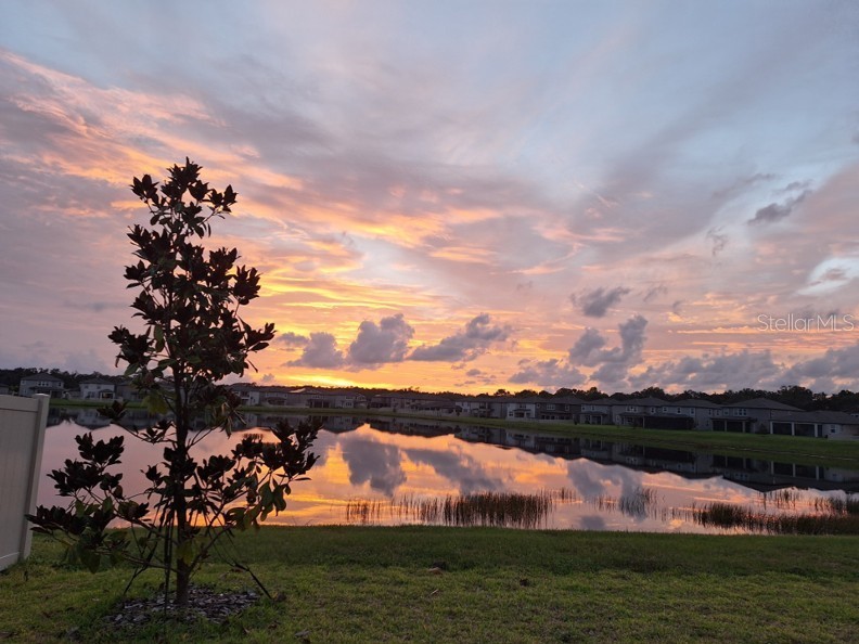 3091 Marine Grass Drive Wimauma FL 33598 TB8504306 image40
