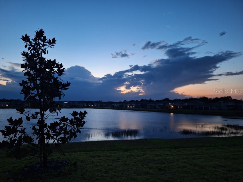 3091 Marine Grass Drive Wimauma FL 33598 TB8504306 image41