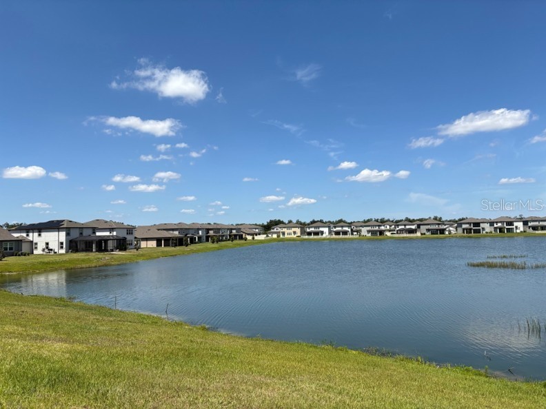 3091 Marine Grass Drive Wimauma FL 33598 TB8504306 image42
