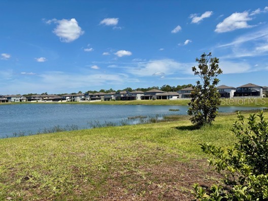 3091 Marine Grass Drive Wimauma FL 33598 TB8504306 image43