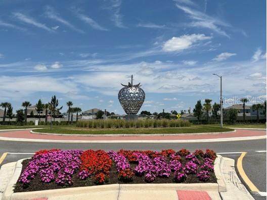 3091 Marine Grass Drive Wimauma FL 33598 TB8504306 image44