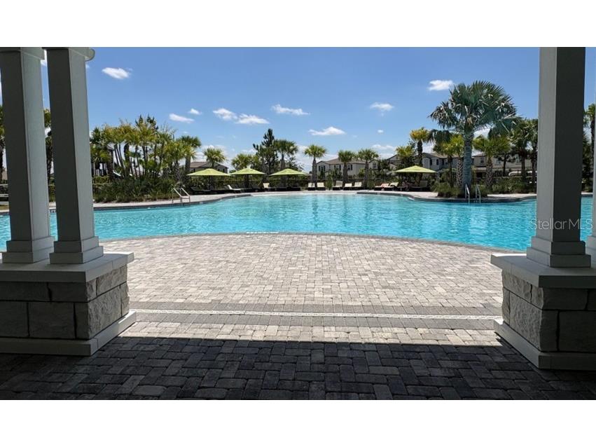 3091 Marine Grass Drive Wimauma FL 33598 TB8504306 image48