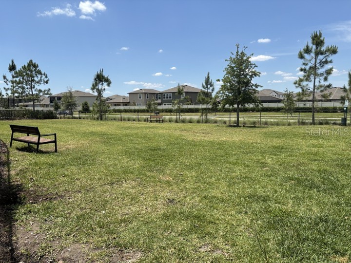 3091 Marine Grass Drive Wimauma FL 33598 TB8504306 image49