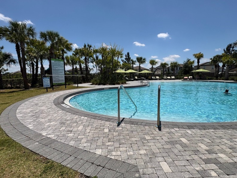3091 Marine Grass Drive Wimauma FL 33598 TB8504306 image54
