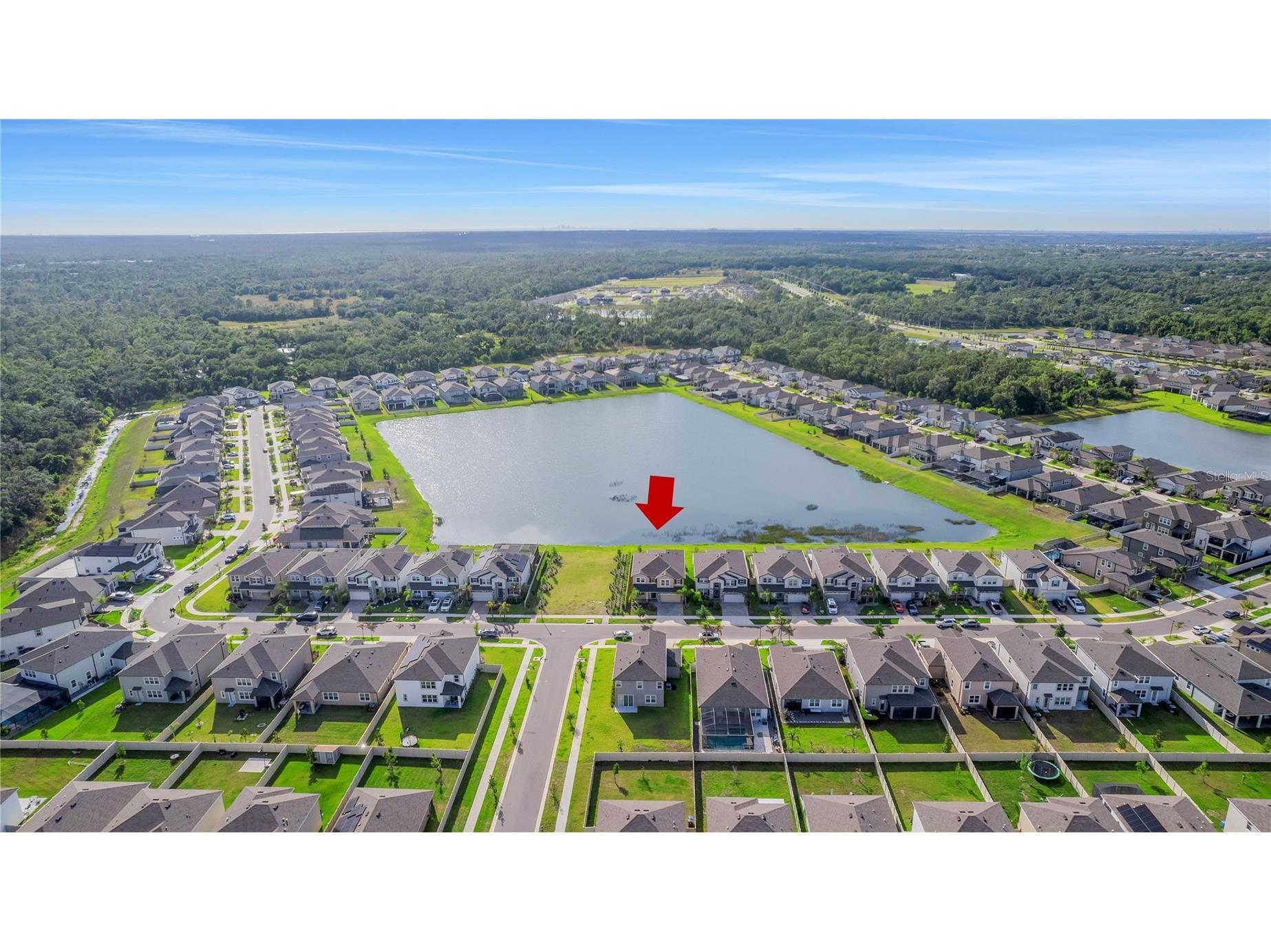 3091 Marine Grass Drive Wimauma FL 33598 TB8504306 image59