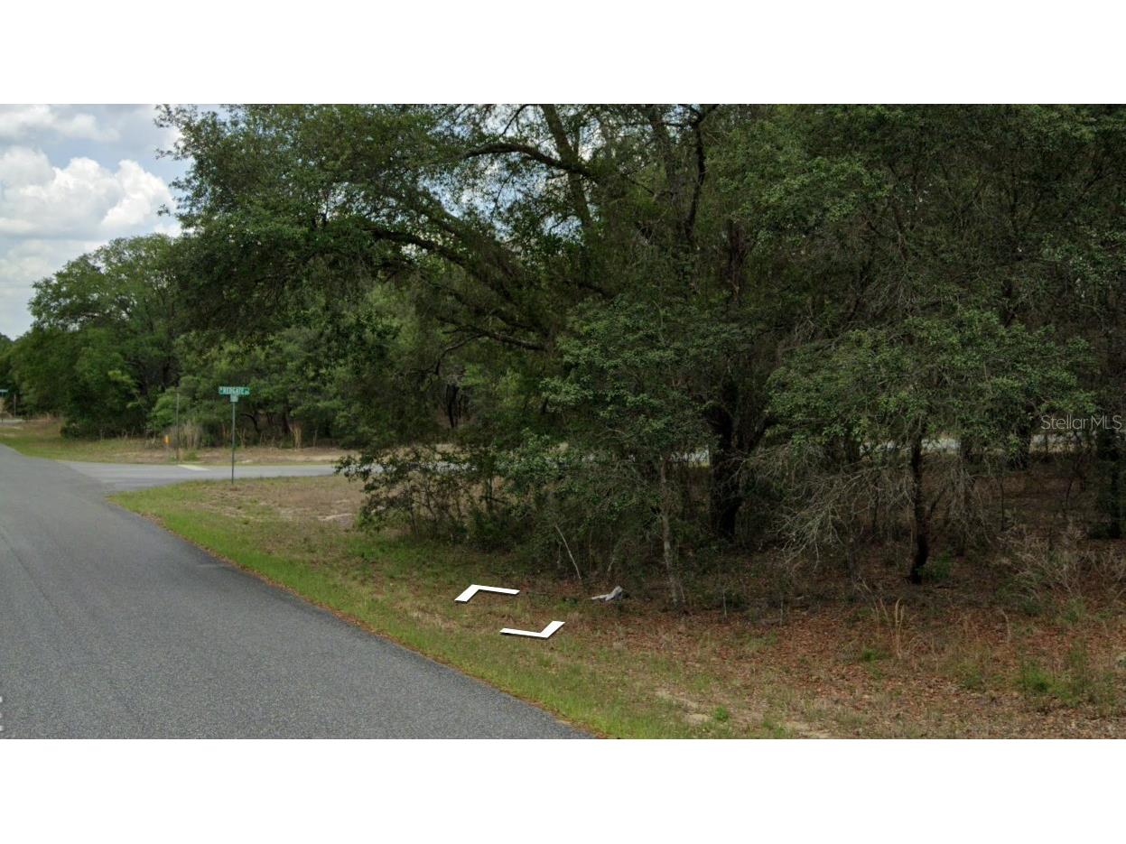 3091 W Redgate Drive Dunnellon FL 34433 W7884006 image1