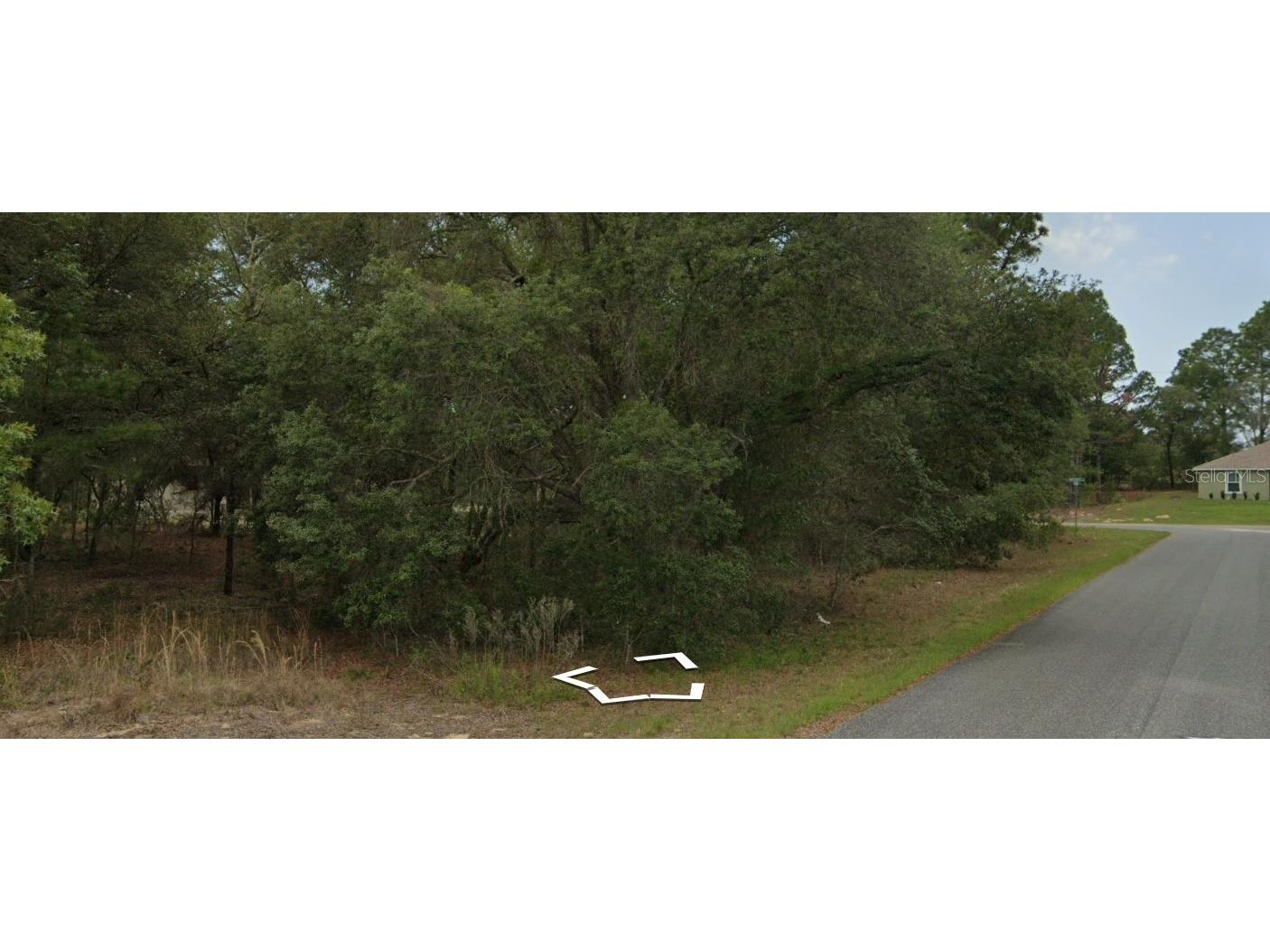 3091 W Redgate Drive Dunnellon FL 34433 W7884006 image2