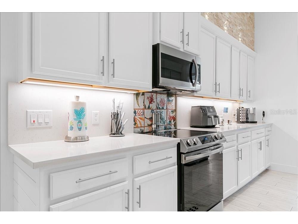 30912 Fairvista Drive Tavares FL 32778 O6365265 image13