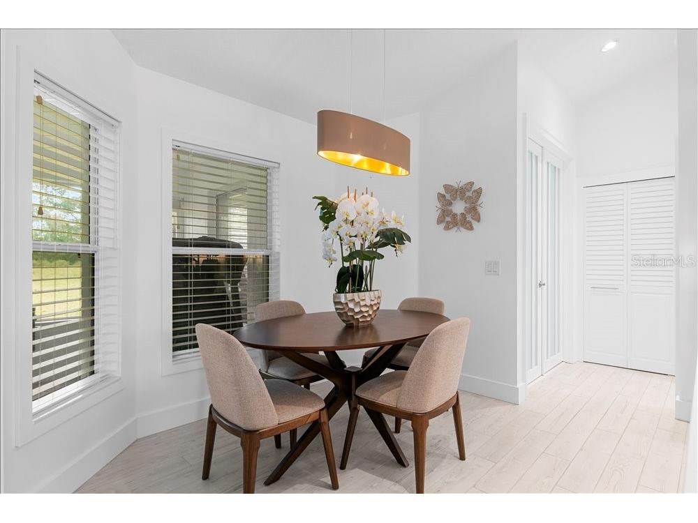 30912 Fairvista Drive Tavares FL 32778 O6365265 image17