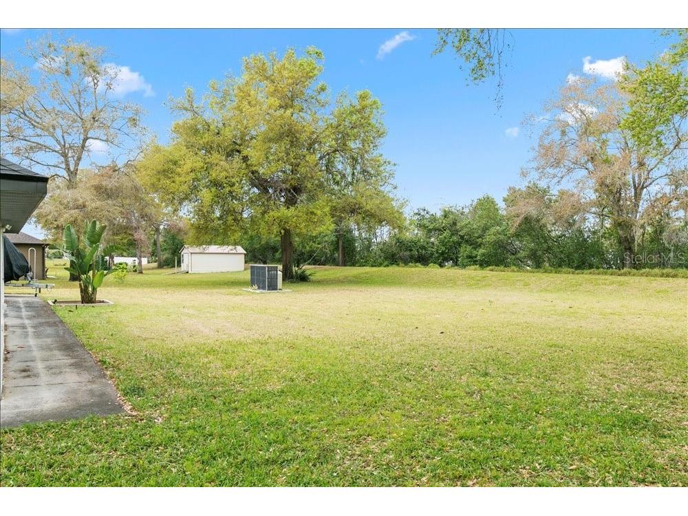 30912 Fairvista Drive Tavares FL 32778 O6365265 image31