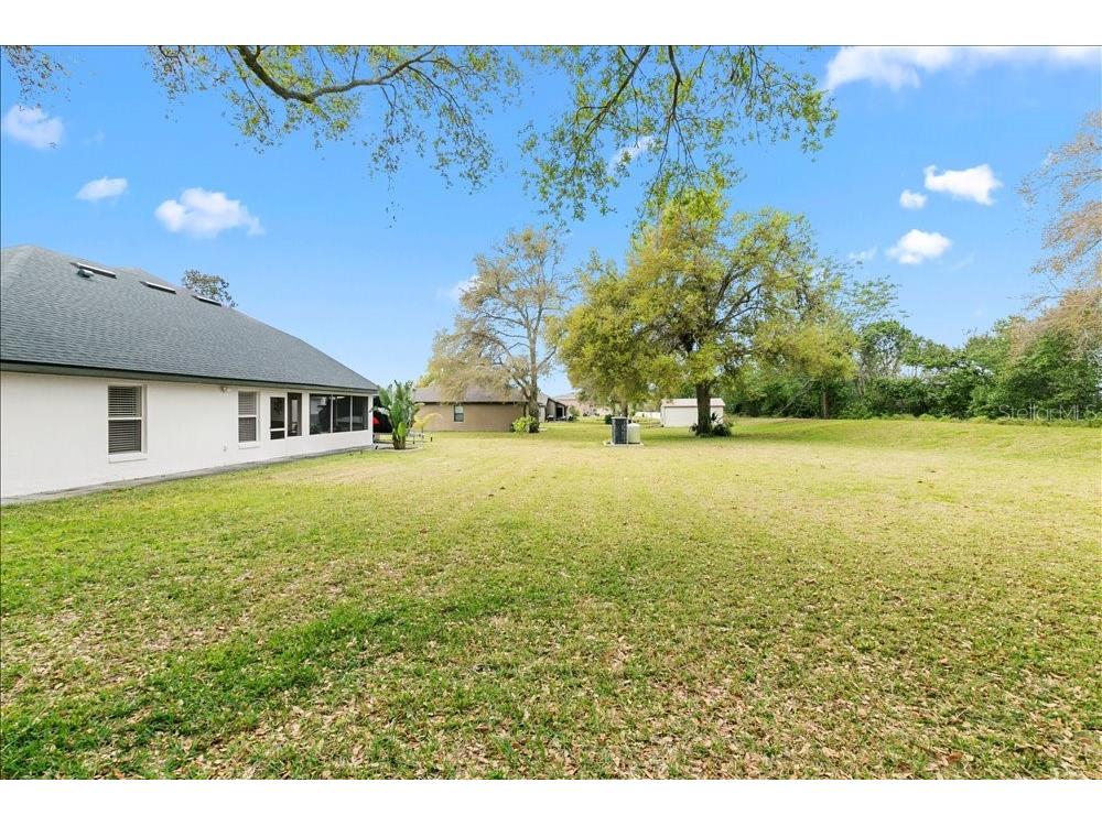 30912 Fairvista Drive Tavares FL 32778 O6365265 image32