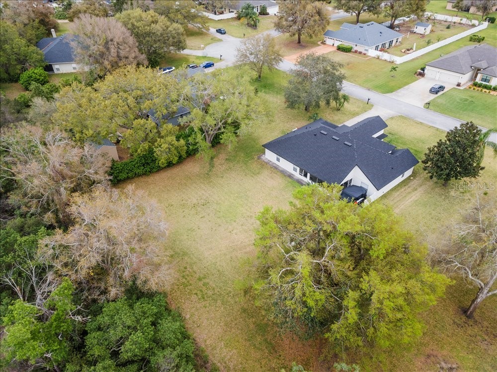 30912 Fairvista Drive Tavares FL 32778 O6365265 image33