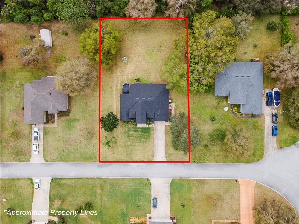 30912 Fairvista Drive Tavares FL 32778 O6365265 image36