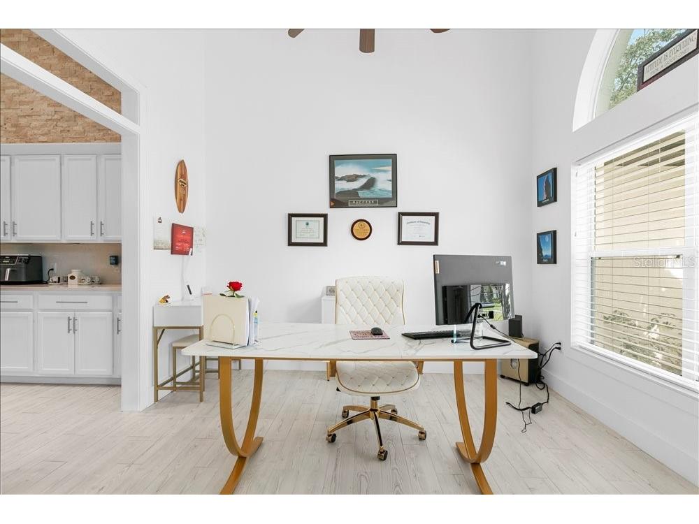 30912 Fairvista Drive Tavares FL 32778 O6365265 image8