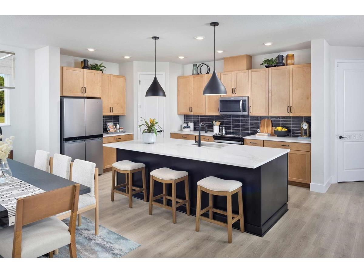 30913 Pendleton Landing Circle Wesley Chapel FL 33545 TB8507868 image4