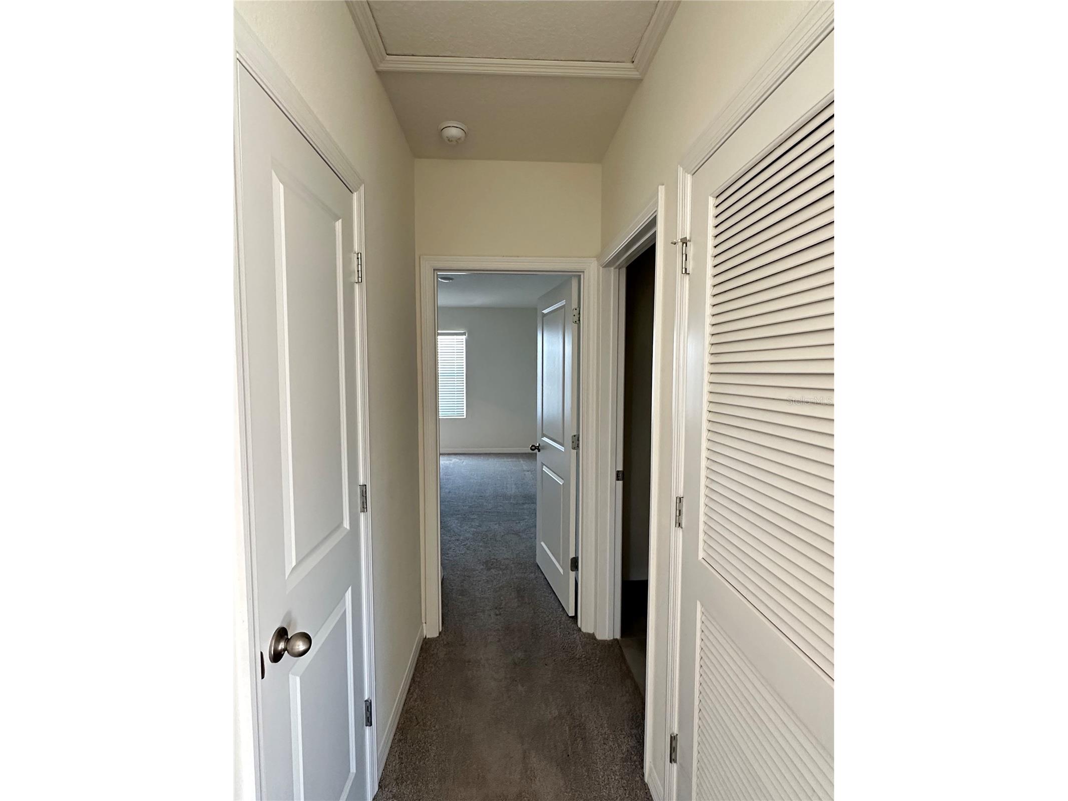 30915 Penny Surf Loop Wesley Chapel FL 33545 O6380643 image11