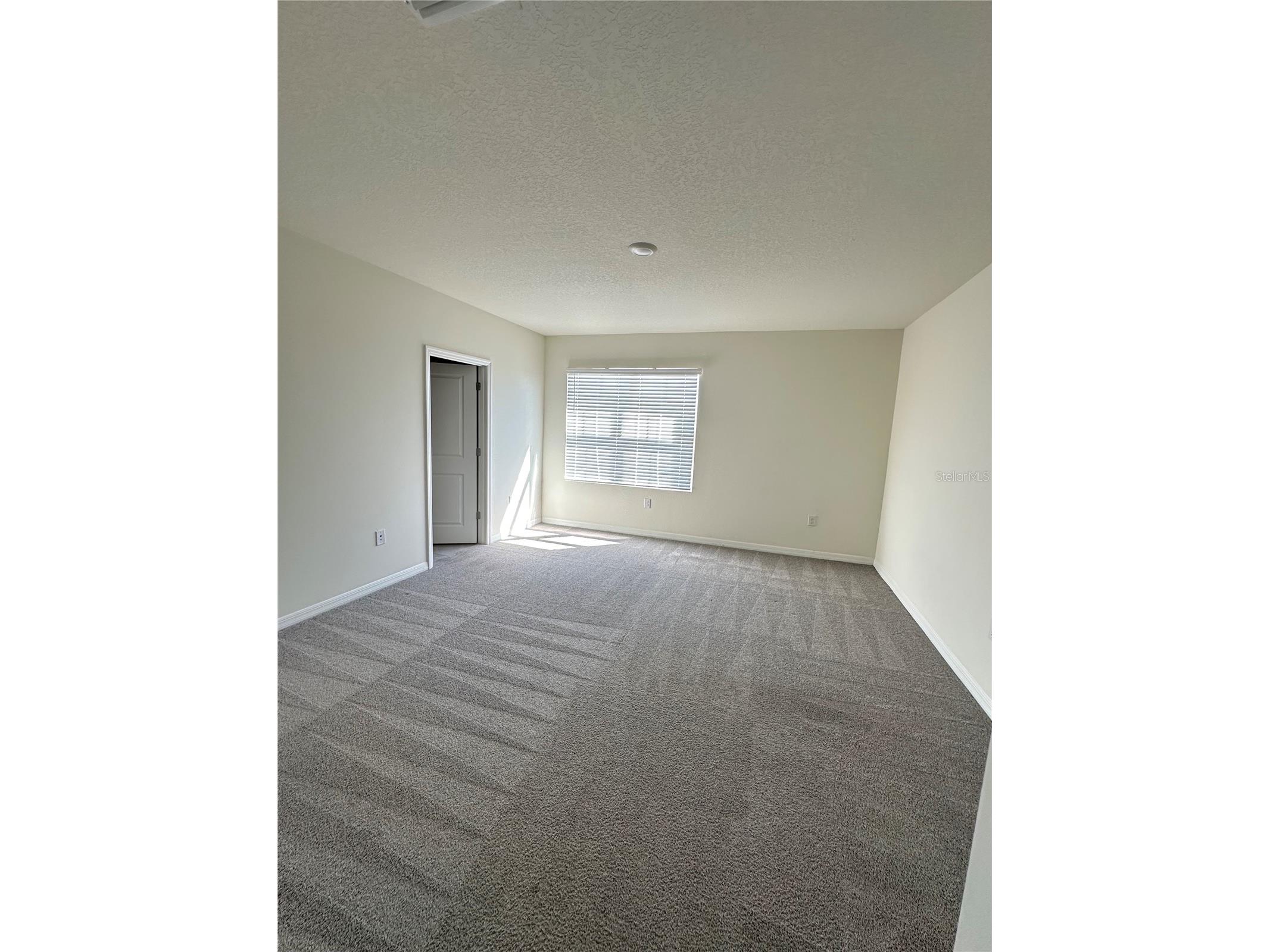 30915 Penny Surf Loop Wesley Chapel FL 33545 O6380643 image12