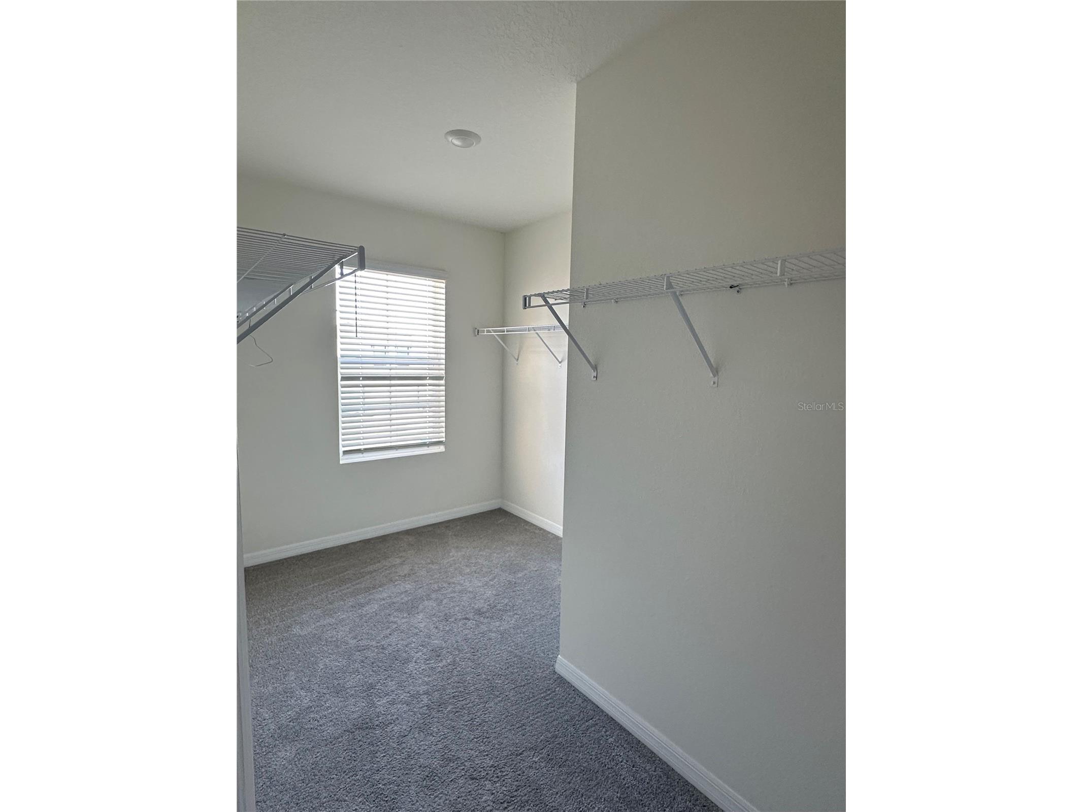 30915 Penny Surf Loop Wesley Chapel FL 33545 O6380643 image15