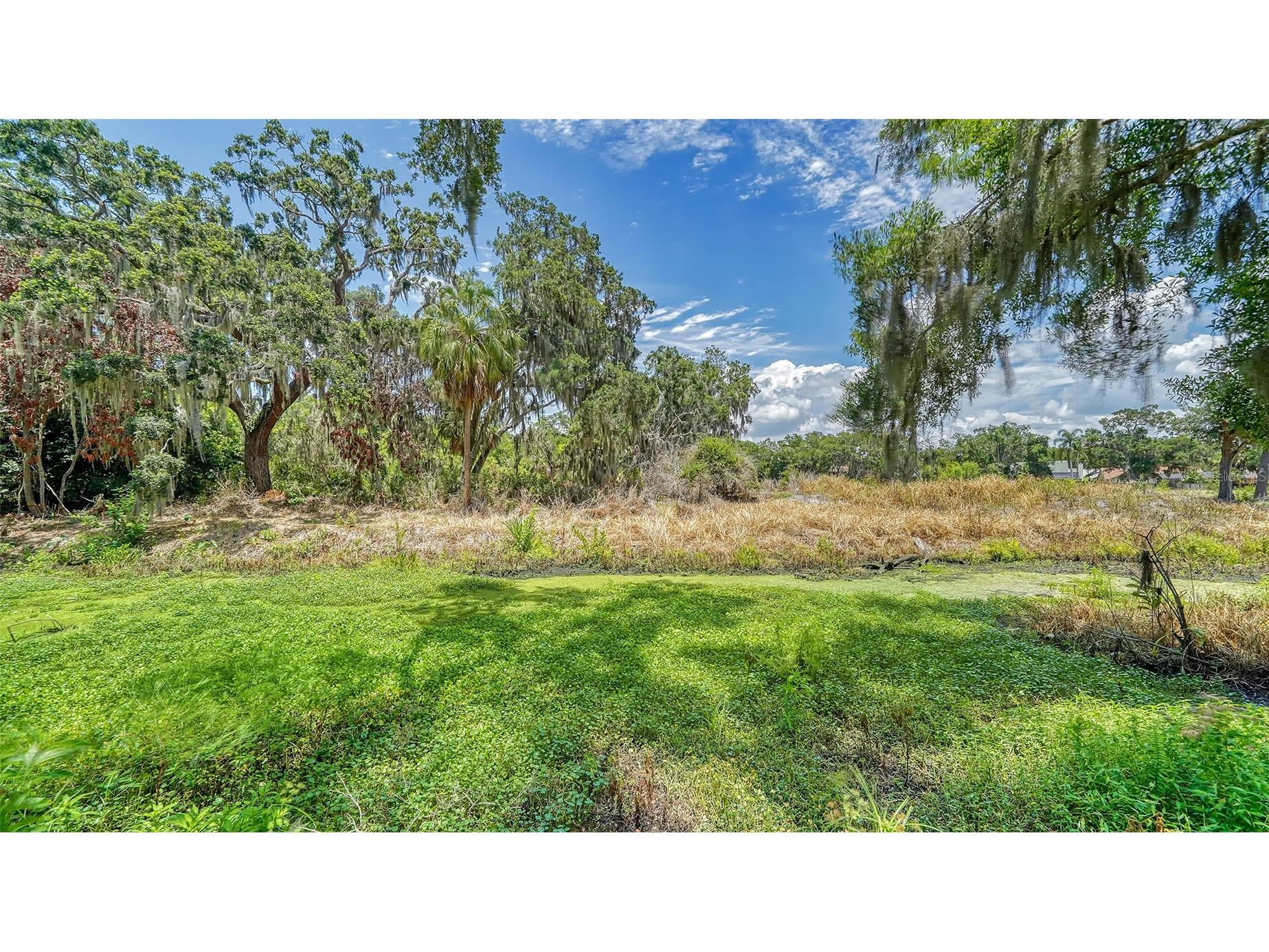 3092 Via Sienna Circle Sarasota FL 34243 A4695432 image43