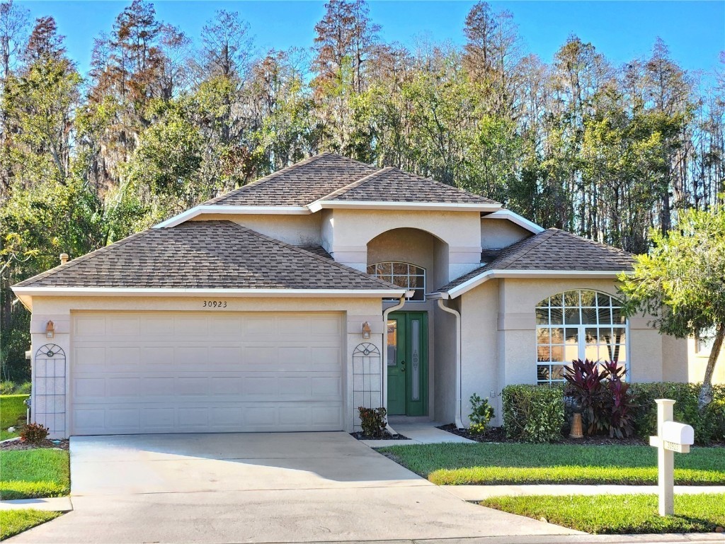 30923 Burleigh Drive Wesley Chapel FL 33543 TB8329659 image1