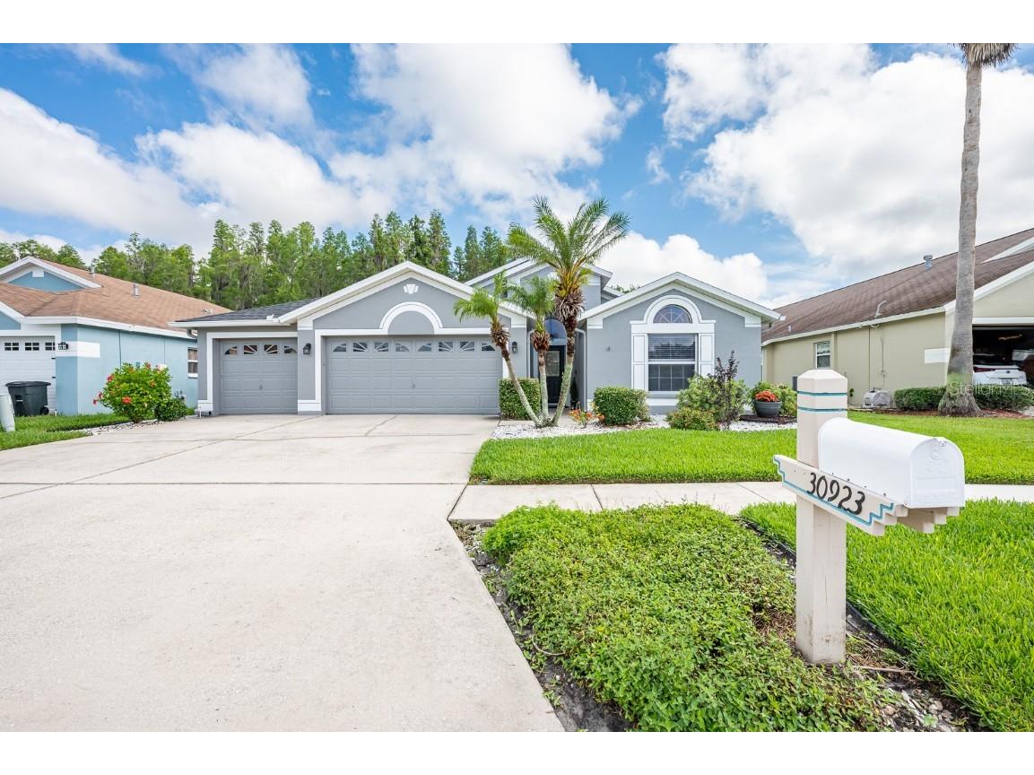 30923 Iverson Drive Wesley Chapel FL 33543 T3448247 image1