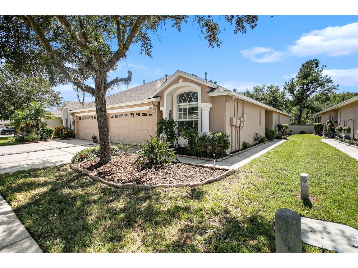 30926 Prout Court Wesley Chapel FL 33543 T3517100 image1