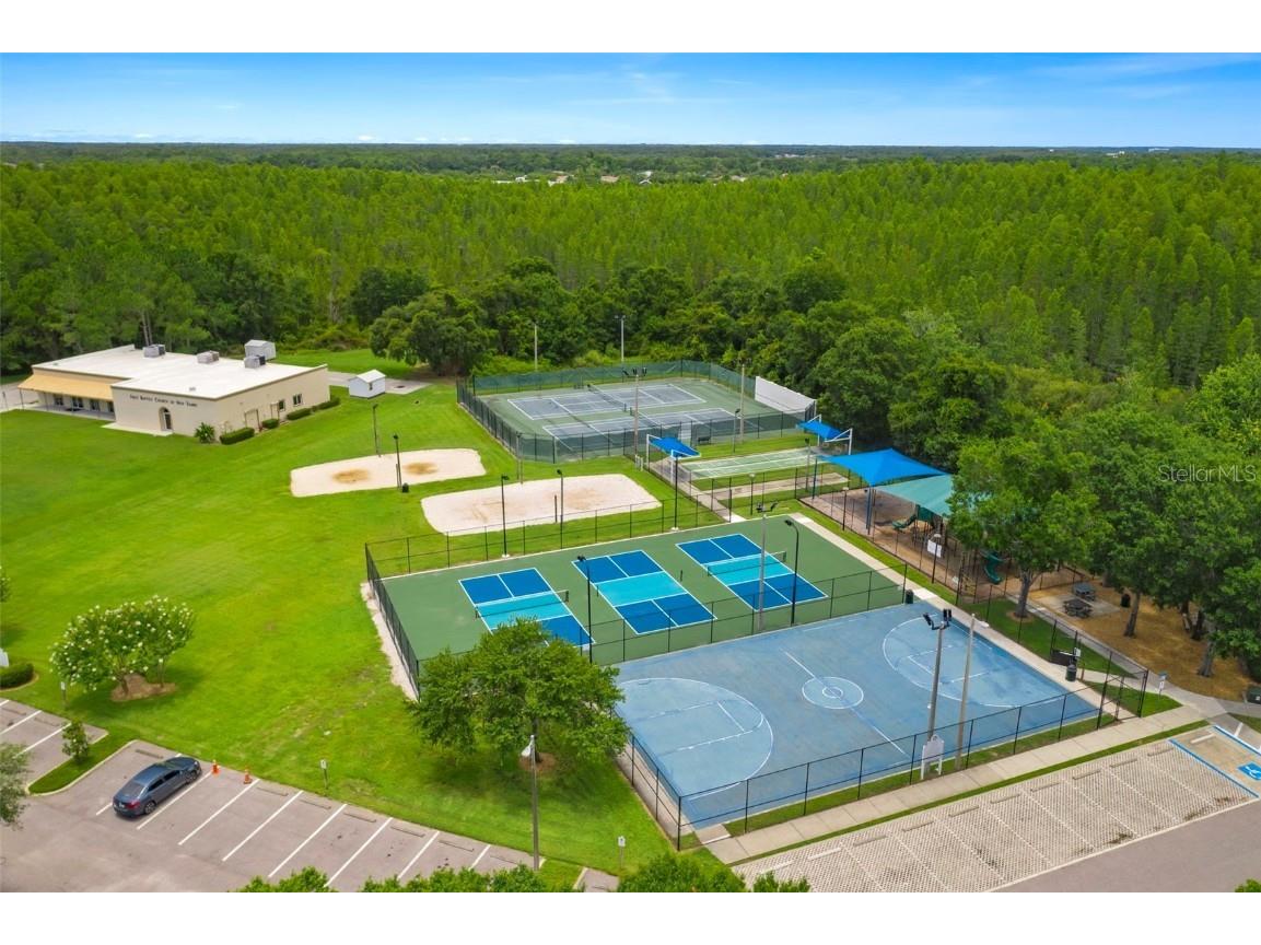 30927 Whitlock Drive Wesley Chapel FL 33543 TB8457964 image11