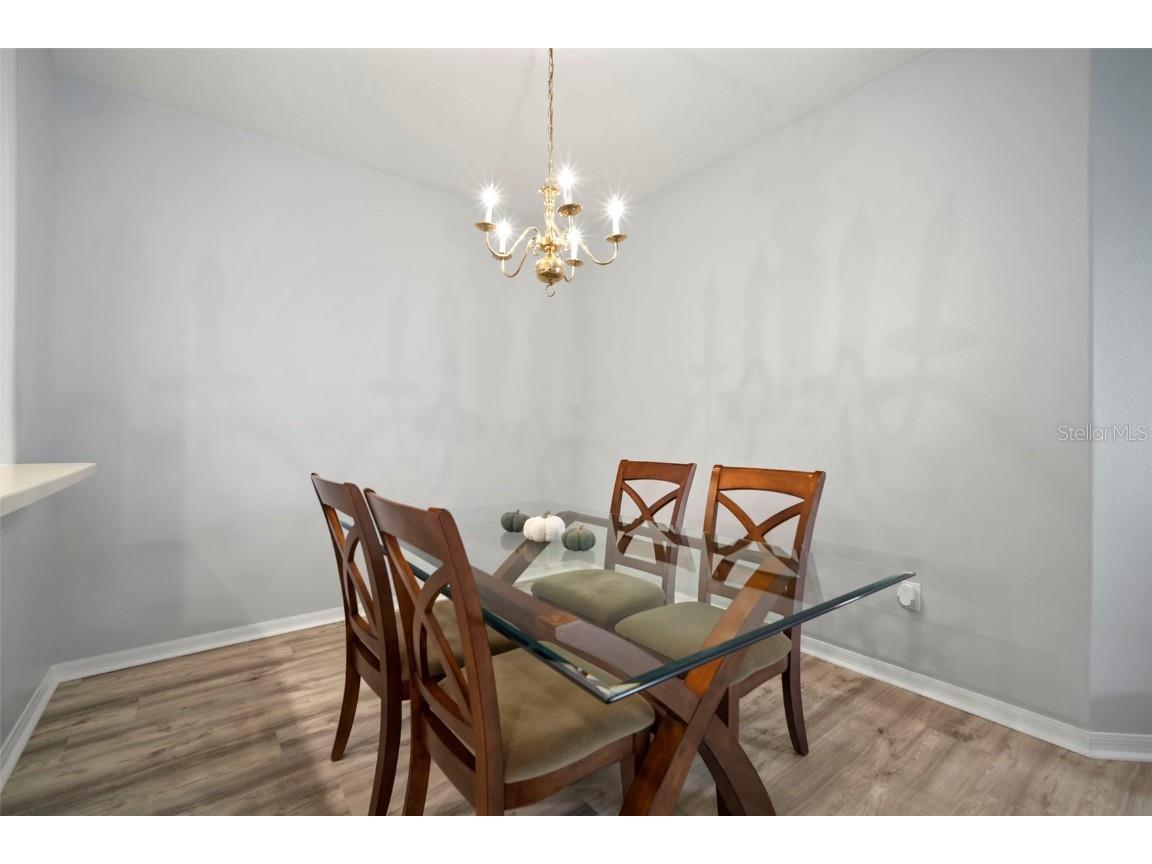 30927 Whitlock Drive Wesley Chapel FL 33543 TB8457964 image15