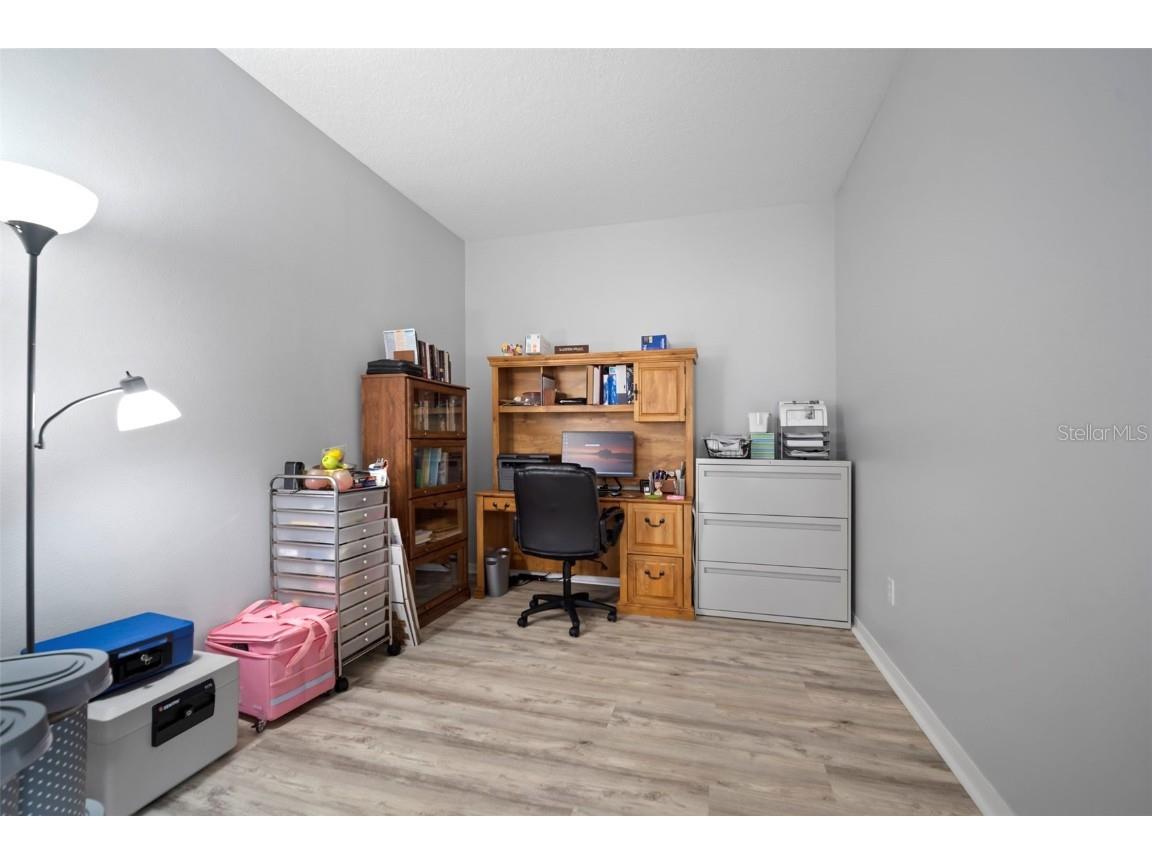 30927 Whitlock Drive Wesley Chapel FL 33543 TB8457964 image29