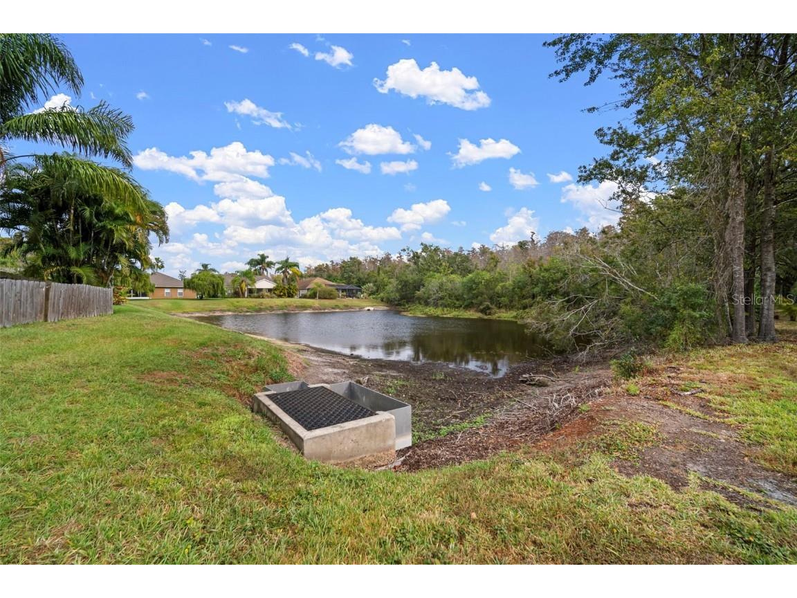 30927 Whitlock Drive Wesley Chapel FL 33543 TB8457964 image33