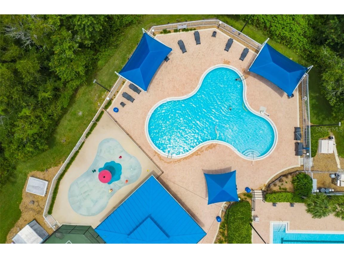 30927 Whitlock Drive Wesley Chapel FL 33543 TB8457964 image46