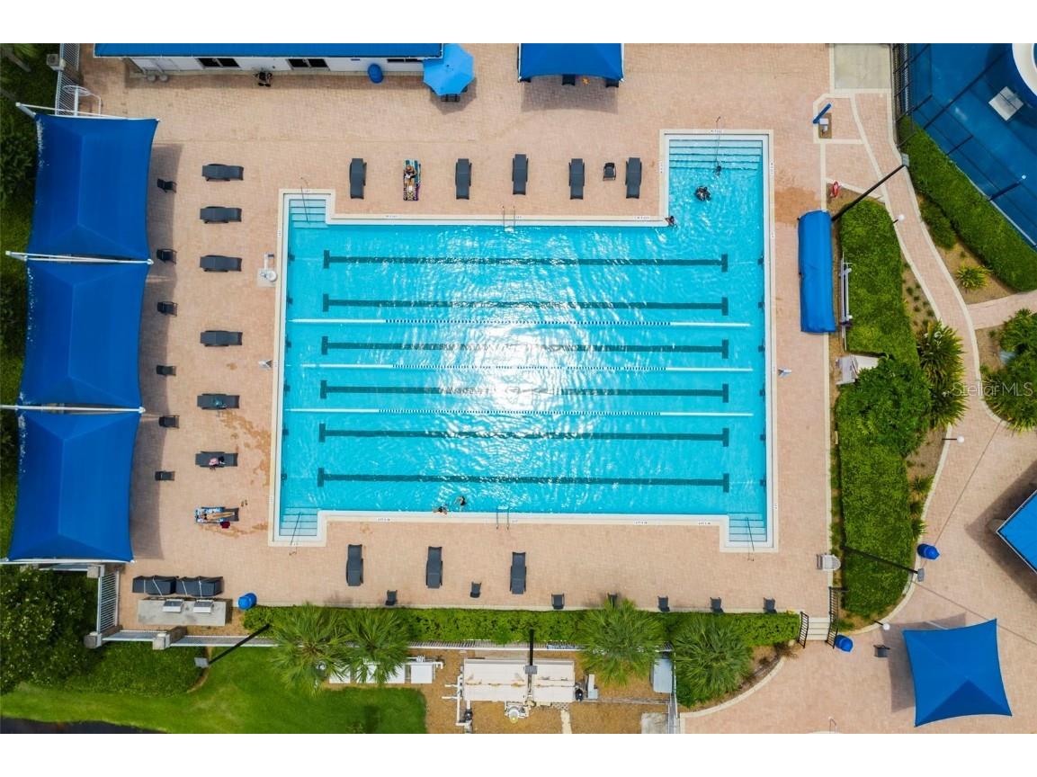 30927 Whitlock Drive Wesley Chapel FL 33543 TB8457964 image47