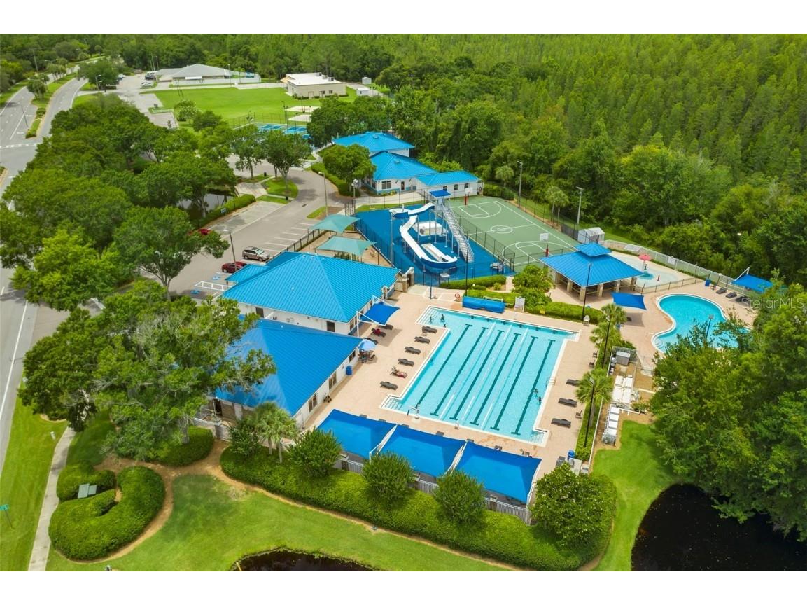 30927 Whitlock Drive Wesley Chapel FL 33543 TB8457964 image48