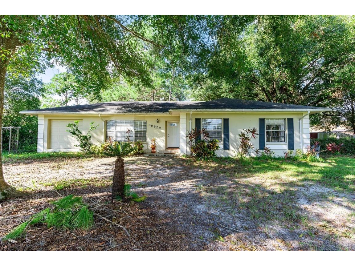 30929 Eloian Drive Wesley Chapel FL 33545 TB8309215 image1