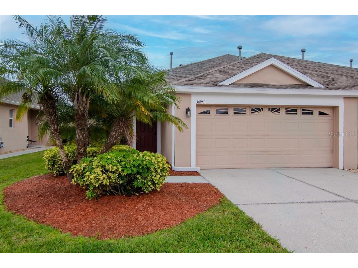 30930 Whitlock Drive Wesley Chapel FL 33543 TB8404585 image1