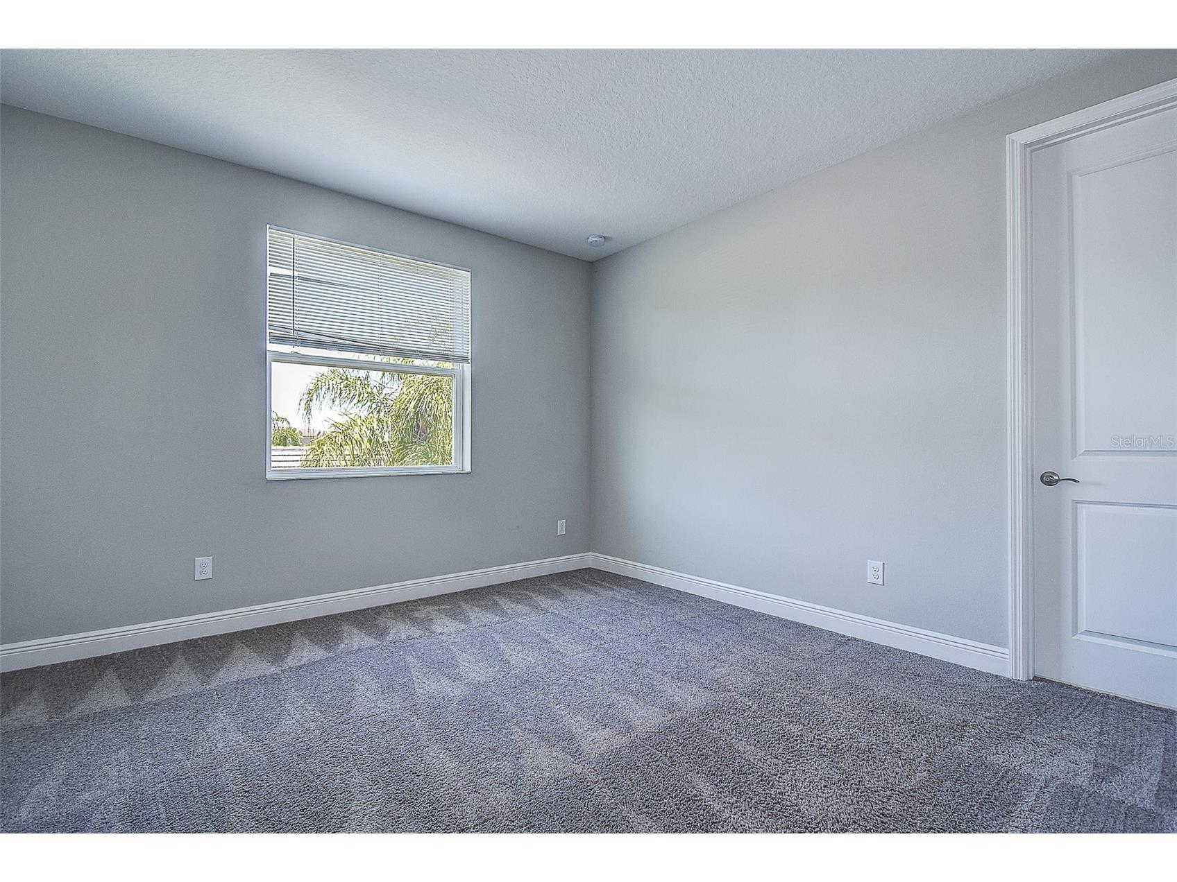 30932 Lindentree Drive Wesley Chapel FL 33543 TB8516695 image37