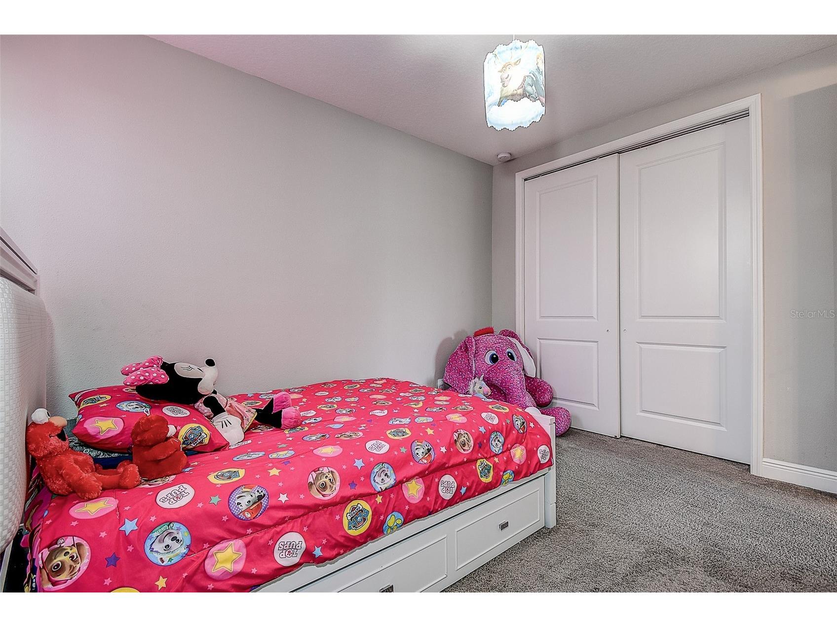 30932 Lindentree Drive Wesley Chapel FL 33543 TB8516695 image38