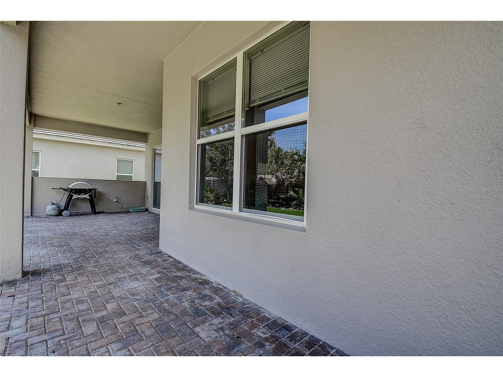30932 Lindentree Drive Wesley Chapel FL 33543 TB8516695 image47