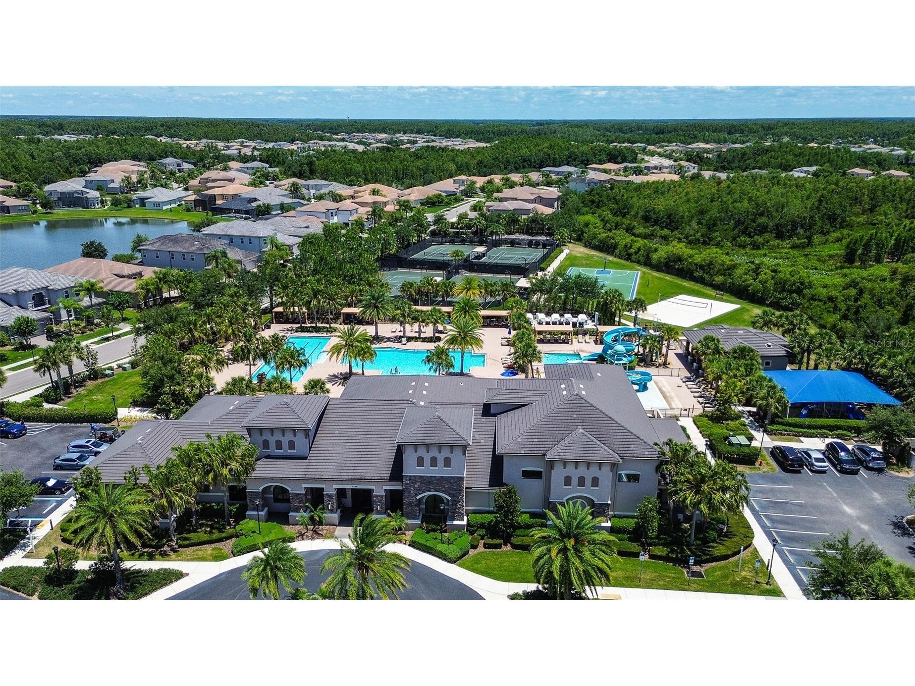 30932 Lindentree Drive Wesley Chapel FL 33543 TB8516695 image49