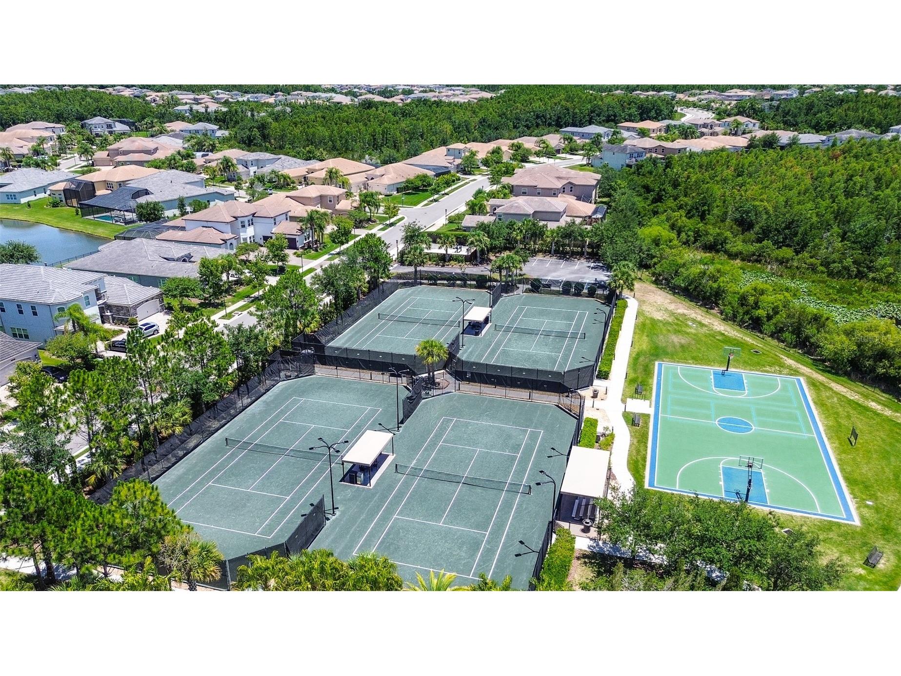 30932 Lindentree Drive Wesley Chapel FL 33543 TB8516695 image53