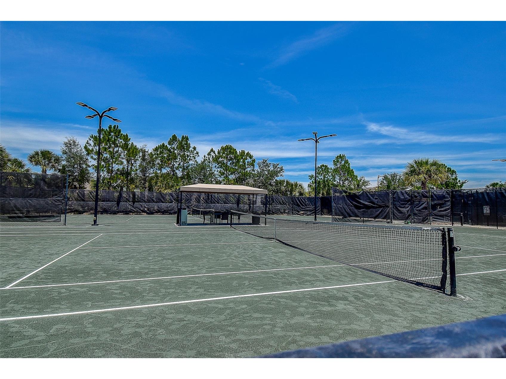 30932 Lindentree Drive Wesley Chapel FL 33543 TB8516695 image54