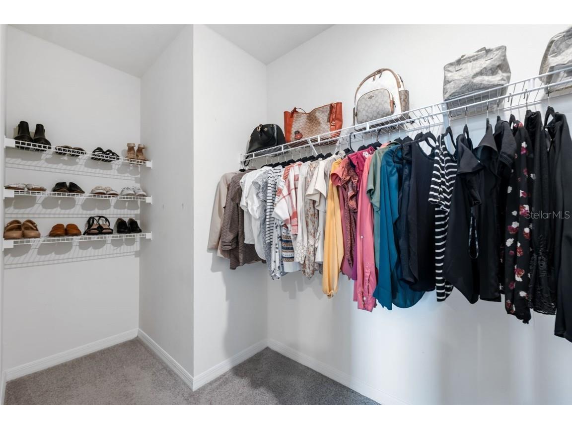 30935 Penny Surf Loop Wesley Chapel FL 33545 W7879248 image28